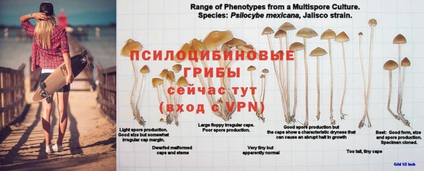 дмт Богородицк